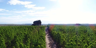 高角度的佩德拉Furada山Jalapão州立公园，Tocantins