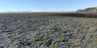 冰岛火山岩上的苔藓。冰岛的熔岩地覆盖着绿色的苔藓