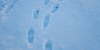 4K脚印踩在雪地上