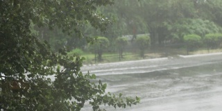 夏季大雨倾盆而下。在一棵绿色的大树和汽车的框架里。汽车在水坑中高速行驶，喷水。沥青上形成的巨大水坑