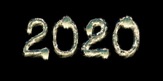 2020年