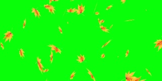 秋叶落在绿色屏幕上，色度键编辑背景
