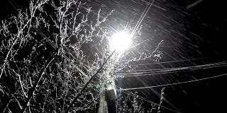 Natural snow fall background at night backlit by street led light