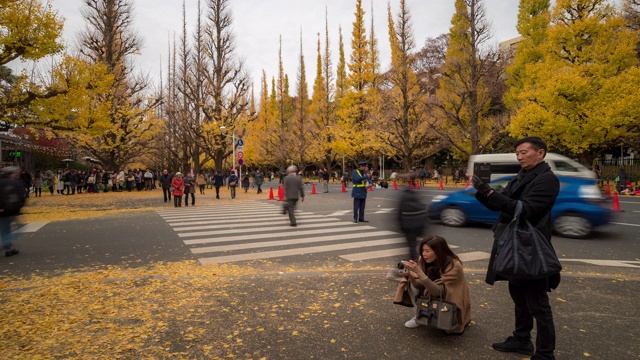 Time-lapse:行人挤在Time-lapse:日本东京Aoyama Meiji Jingu Garden, Apple ProRes 422 (HQ) 3840x2160格式