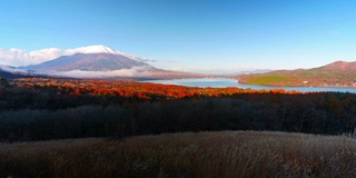 美丽的富士山与枫树在秋天的日本