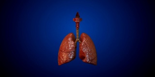 吸烟的肺损伤