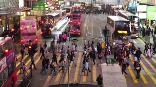 慢镜头:香港铜锣湾人行横道斑马线。视频素材模板下载