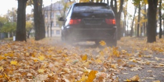 一辆大马力的汽车在阳光明媚的日子穿过小巷。五颜六色的秋叶从车轮下飞了出来。黑色SUV快速行驶在空旷的道路上，越过公园的黄叶。低角度的观点
