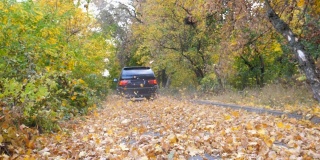 一辆大马力的汽车在阳光明媚的日子穿过小巷。五颜六色的秋叶从车轮下飞了出来。黑色SUV快速行驶在空旷的道路上，越过公园的黄叶。低角度的观点