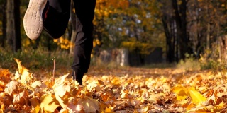 一个不知名的运动员在秋天的公园里跑步，踩着干燥的枫叶。男跑步者在多彩的落叶上慢跑。年轻运动员在大自然中训练。健康生活方式的概念。后视