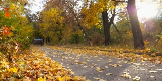 黑色越野车穿过小巷与阳光在背景。五颜六色的秋叶从车轮下飞了出来。一辆强劲的汽车在空旷的道路上飞驰，越过公园里的黄叶。