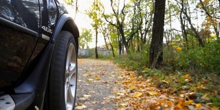 从前轮近距离观看强大的汽车行驶在公园道路上的黄叶。一辆黑色汽车在阳光明媚的日子穿过小巷。秋季公园里的越野车。慢动作