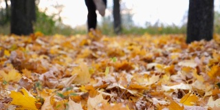 男跑步者在秋天的公园里踩着干燥的枫叶跑步。年轻的运动员在多彩的落叶上慢跑。不可辨认的运动员训练的性质。美丽的景观模糊。后视