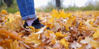 男性的脚踩在森林里五颜六色的落叶上的特写。在秋天的公园里，年轻人走在黄叶覆盖的地上。那家伙的腿踢着干枫叶。慢动作