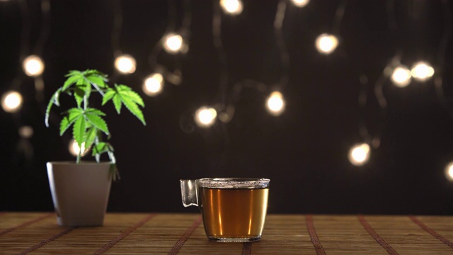 竹制桌子，陶制大麻植物。用手将热CBD茶倒入玻璃杯中。