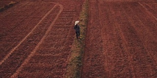 农妇用数字平板检查有机土壤农业稻田梯田麦田在夏季旱季，鸟瞰图