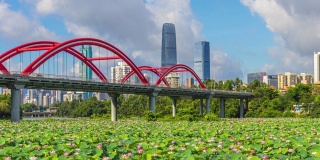 深圳KK100和洪湖公园莲花池天际线的时间推移
