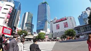 日本东京新宿人行横道斑马线。视频素材模板下载