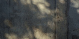 树叶的影子在老水泥墙上。运动留下的影子随着自然的风移动。4k电影胶片