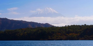 美丽的富士山与枫树在秋天的日本