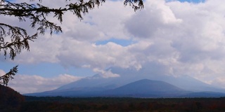 美丽的富士山与枫树在秋天的日本