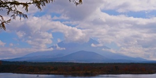 美丽的富士山与枫树在秋天的日本