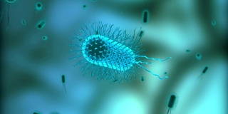 在显微镜下漂浮的大肠杆菌细胞或细菌或病毒