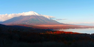 美丽的富士山与枫树在秋天的日本