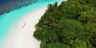 鸟瞰图的热带岛屿与棕榈树在马尔代夫