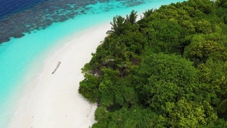 鸟瞰图的热带岛屿与棕榈树在马尔代夫视频素材模板下载