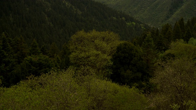 倾斜鸟瞰图:中国四川黄龙谷景观的云下山脉