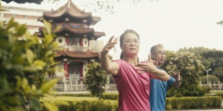 两个活跃的亚洲老年人在公园里打太极(慢动作)
