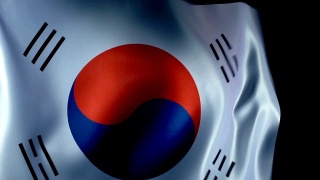 韩国国旗飘扬视频素材模板下载