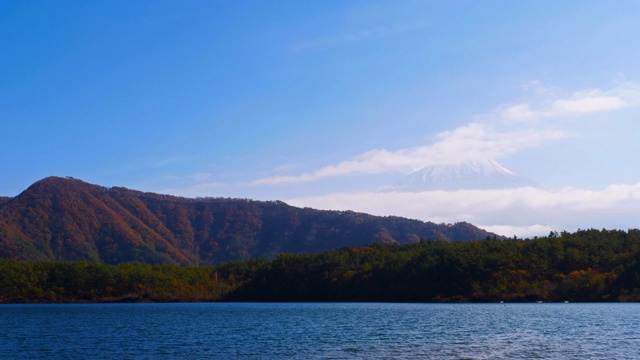 美丽的富士山与枫树在秋天的日本