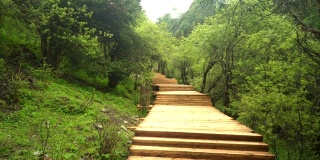 手持式视角:中国四川省四姑娘山国家公园的长平沟或长平谷的木制步道