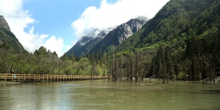 平景:在中国四川省四姑娘山国家公园的常平沟或常平沟徒步旅行时，可以看到美丽的自然景观