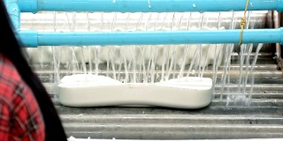 女人把白色乳胶枕头放在传送带上，通过水来清洗