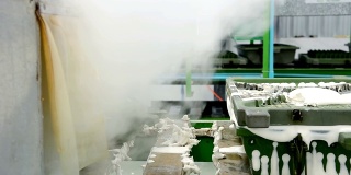 在工厂中，金属乳胶枕模具通过传送带加热蒸汽从机器中移动出来