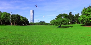 WS LA草坪和树木在莲花山公园，风筝在天空中飞翔/中国深圳