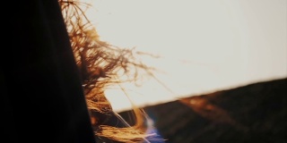 后面的特写镜头，一个长头发的女孩骑着一辆车。她的头发在风中飘动。她的手在车外玩着头发