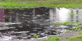 水珠滴落在地上的水坑里。黑暗，悲伤，情绪化和戏剧性的背景。