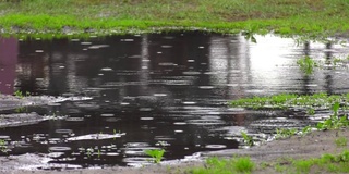 水珠滴落在地上的水坑里。黑暗，悲伤，情绪化和戏剧性的背景。