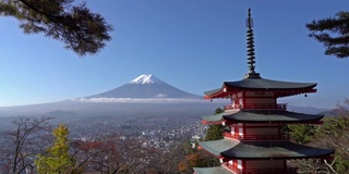 美丽的富士山与枫树在秋天的日本