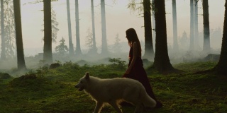 一个女孩和一只狗在森林里散步