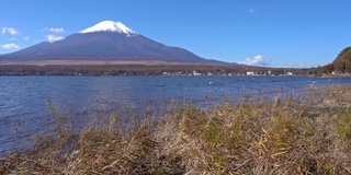 美丽的富士山与枫树在秋天的日本