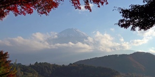 美丽的富士山与枫树在秋天的日本