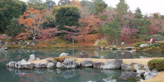 4k美丽的日本花园，有池塘和红叶