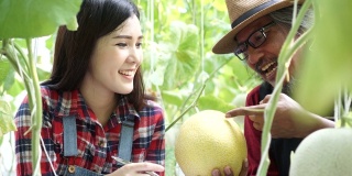 父亲和女儿一起写作和工作的家庭。快乐的亚洲农民微笑着，在他们自己的农田里捧着一个成熟的西瓜