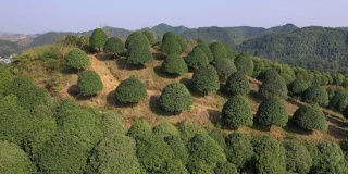 桂花园位于桂林