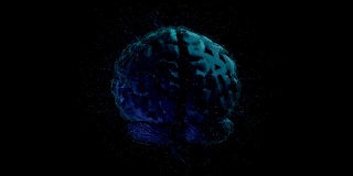 数字大脑。人工智能。x射线。